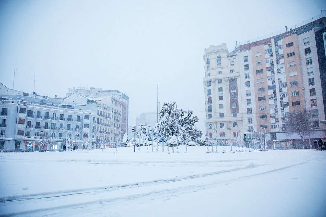 witte sneeuw bedekt veld in de buurt van wit betonnen gebouw online puzzel