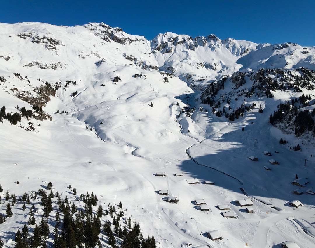 zöld fenyőfák a hóval borított hegyen napközben kirakós online