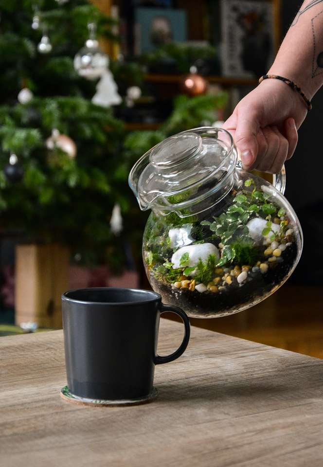 Čajníkové florárium od městských rostlin skládačky online