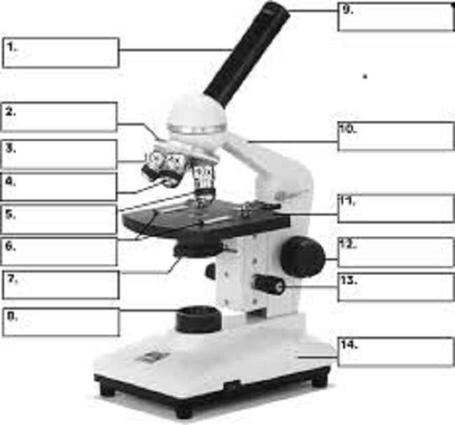 Mikroskop Pusselspel pussel på nätet
