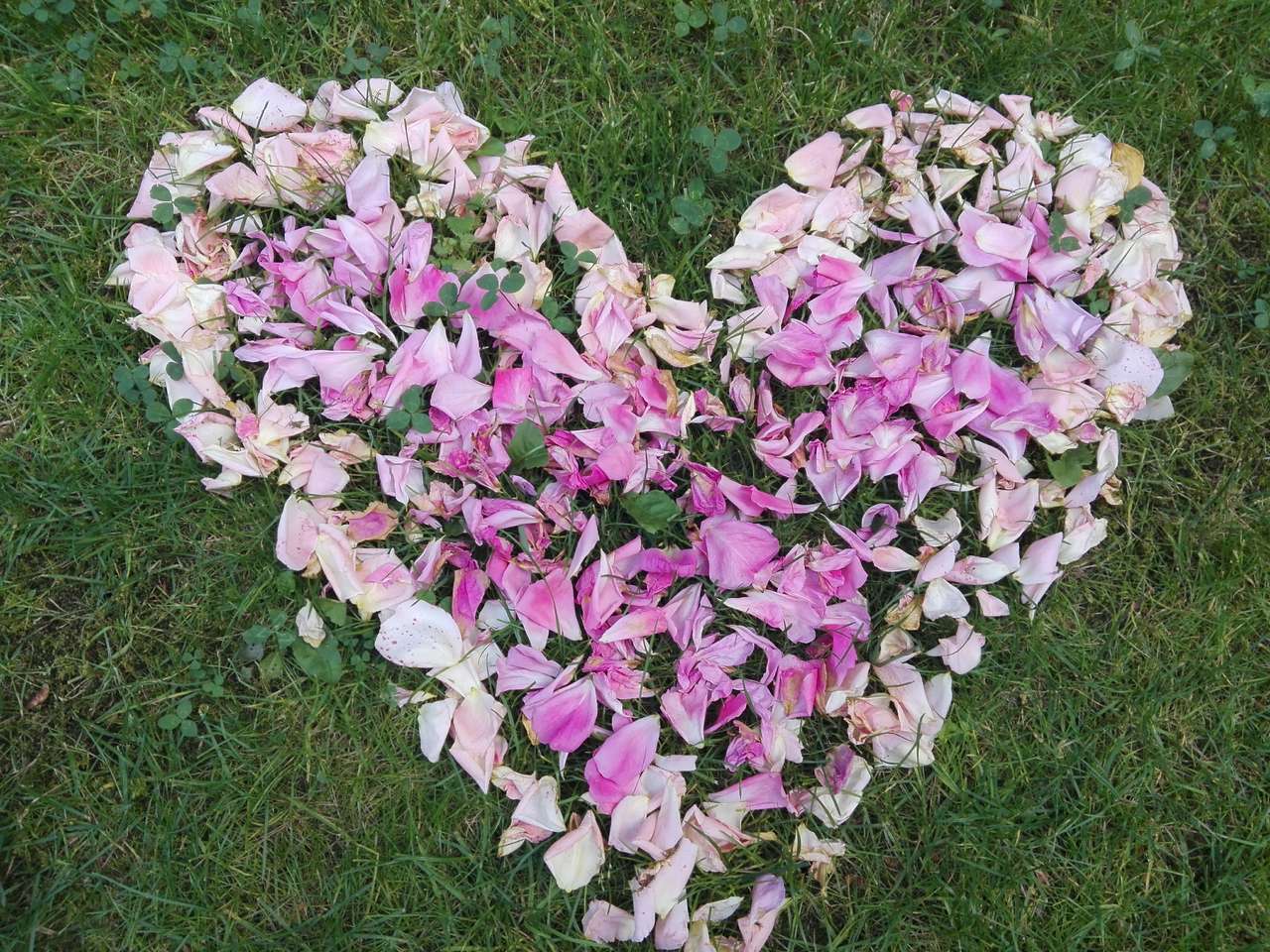 Coeur de pétales de rose puzzle en ligne