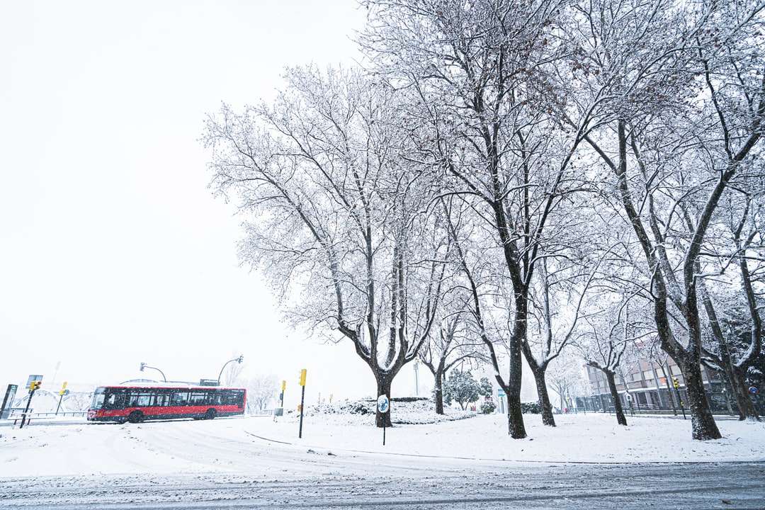 bancă din lemn roșu și alb pe pământ acoperit de zăpadă puzzle online