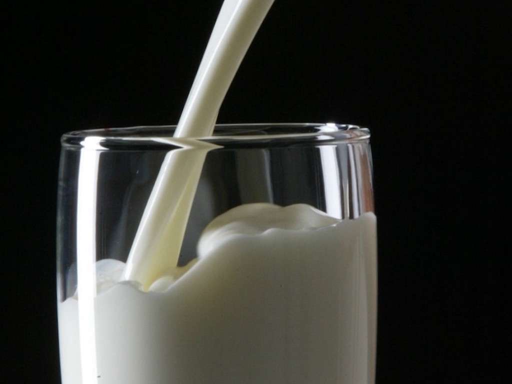 Mjölkpussel Pussel online