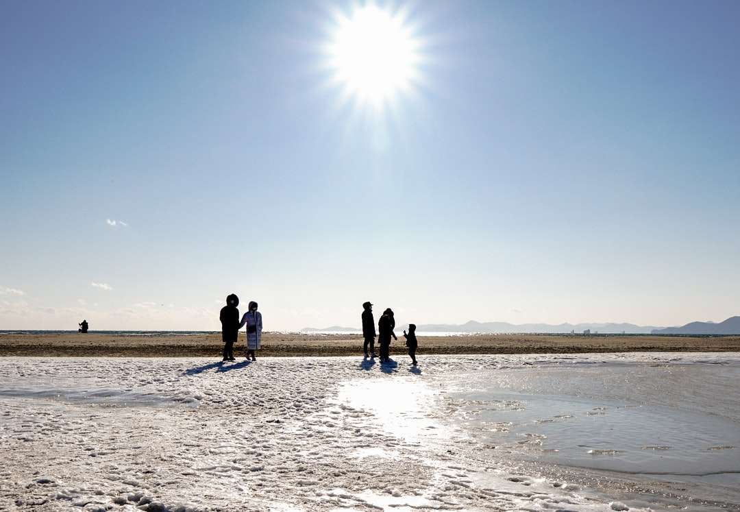emberek sétálnak a tengerparton napközben kirakós online