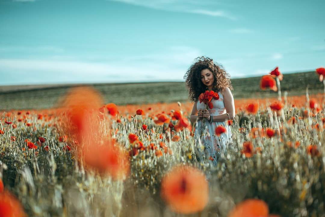 garota de camisa branca sentada em um campo de flores vermelhas quebra-cabeças online