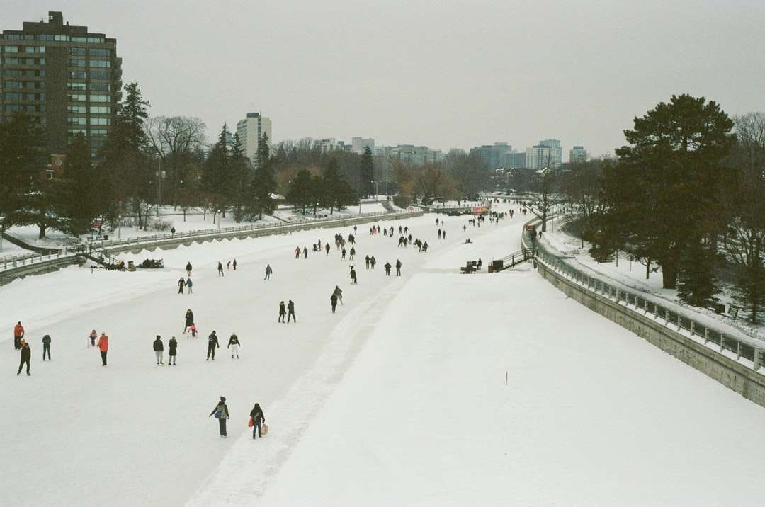 pessoas caminhando em um campo coberto de neve durante o dia puzzle online