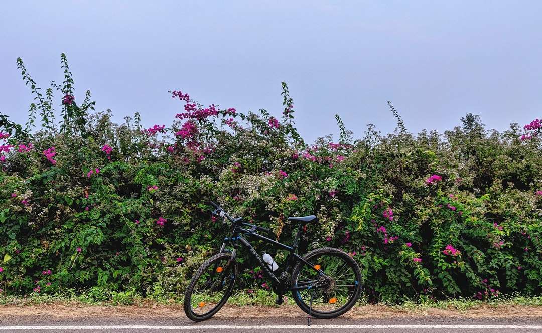 bicicleta preta estacionada ao lado de flores rosa durante o dia quebra-cabeças online