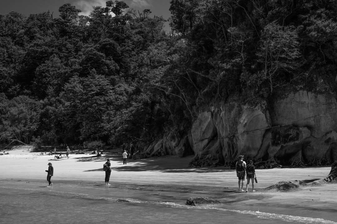 photo en niveaux de gris de personnes marchant sur la plage puzzle en ligne