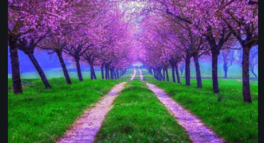 paarse bomen online puzzel