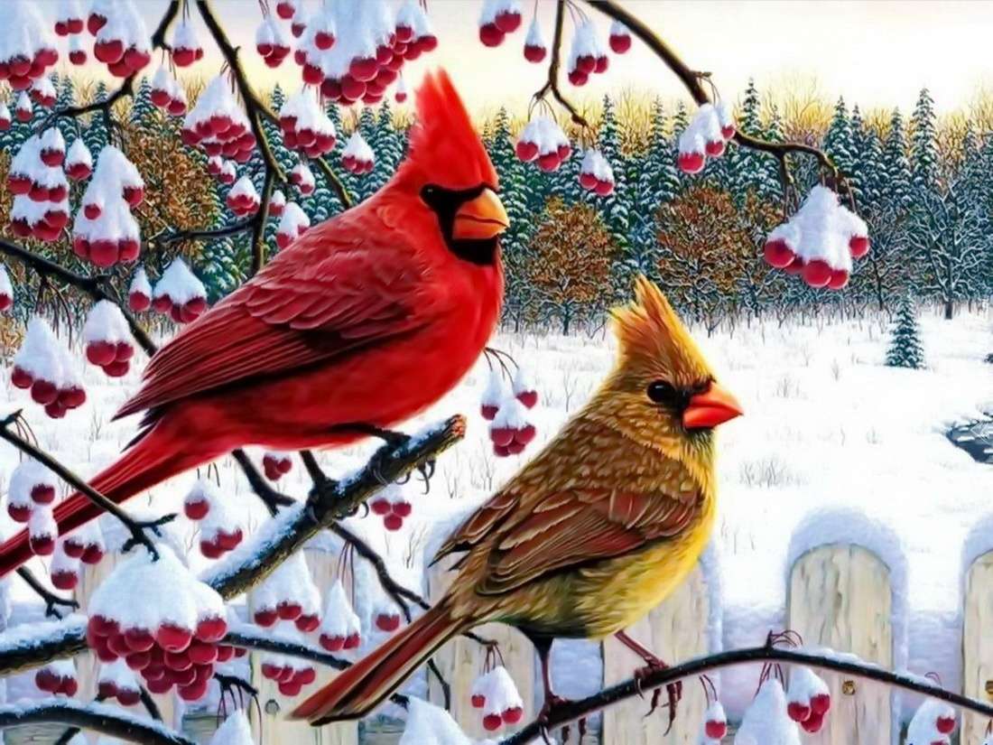 птици през зимата онлайн пъзел