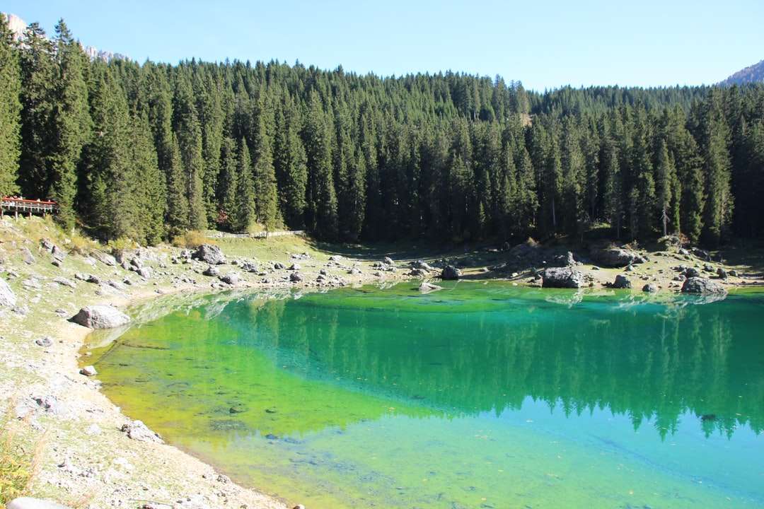 grön sjö omgiven av gröna träd under dagtid Pussel online