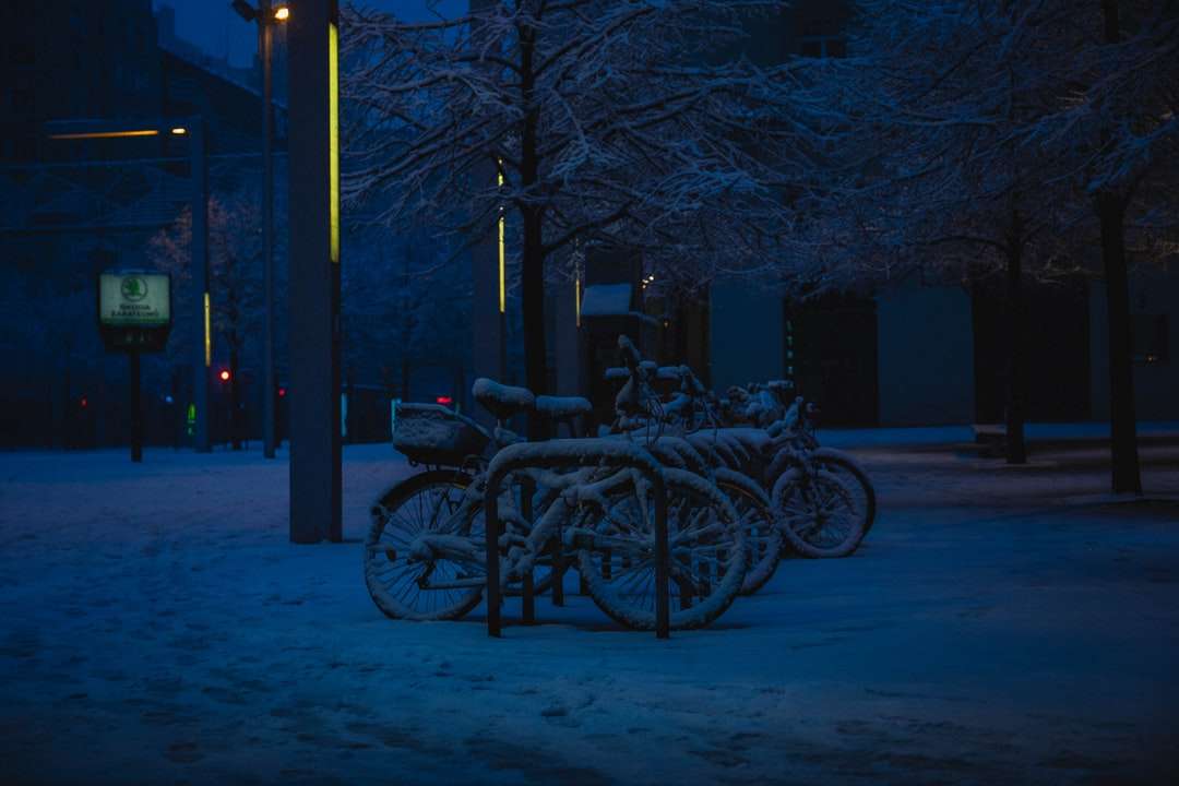 black bicycle parked beside bare tree during night time online puzzle