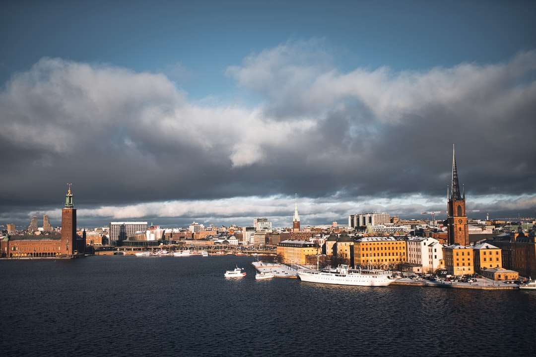 panorama města poblíž vodní plochy pod zamračenou oblohou skládačky online