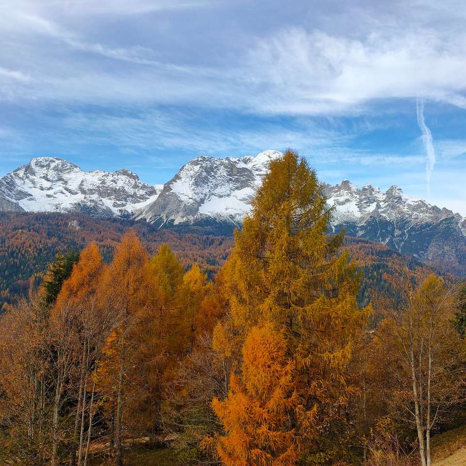 braune und grüne Bäume in der Nähe von schneebedeckten Bergen Online-Puzzle
