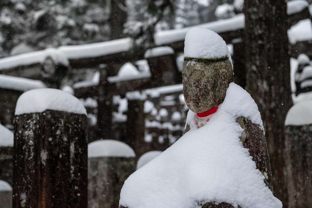 Person im grünen Hut mit Schnee bedeckt Online-Puzzle