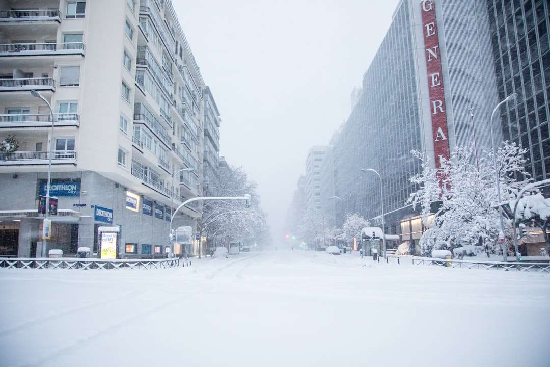 az emberek séta a hóval borított úton online puzzle