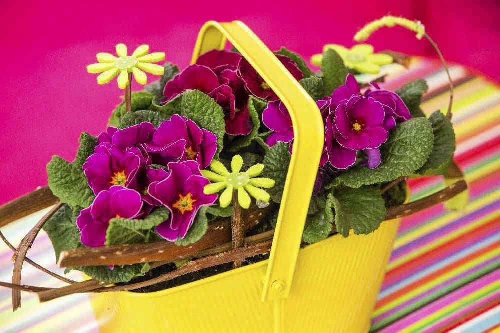 decoration with primroses jigsaw puzzle online