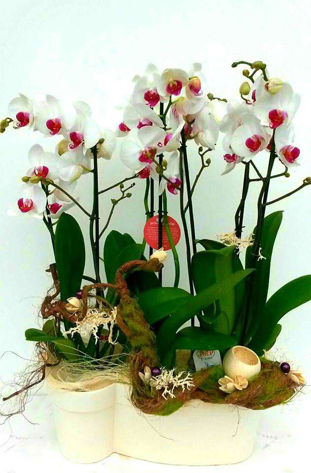 Zusammensetzung der künstlichen Orchideen Online-Puzzle
