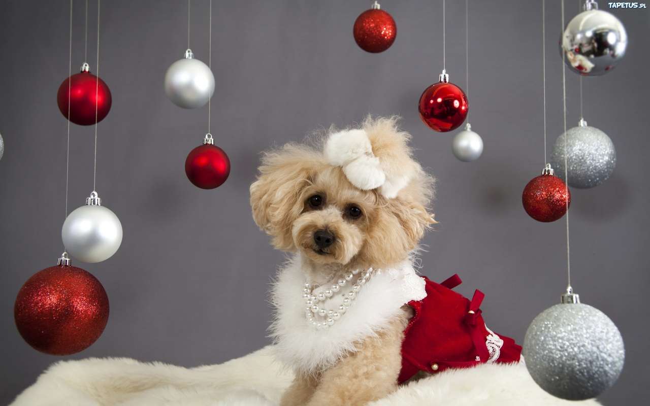Dog wearing Christmas baubles. online puzzle