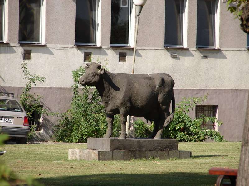 A tehén emlékmű Stary Pole-ban online puzzle