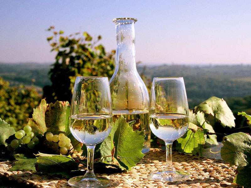 Medimurje wijnbouw in Kroatië online puzzel