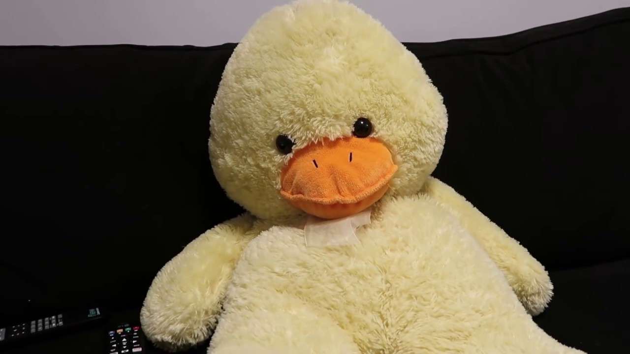 Mr. Duck Online-Puzzle