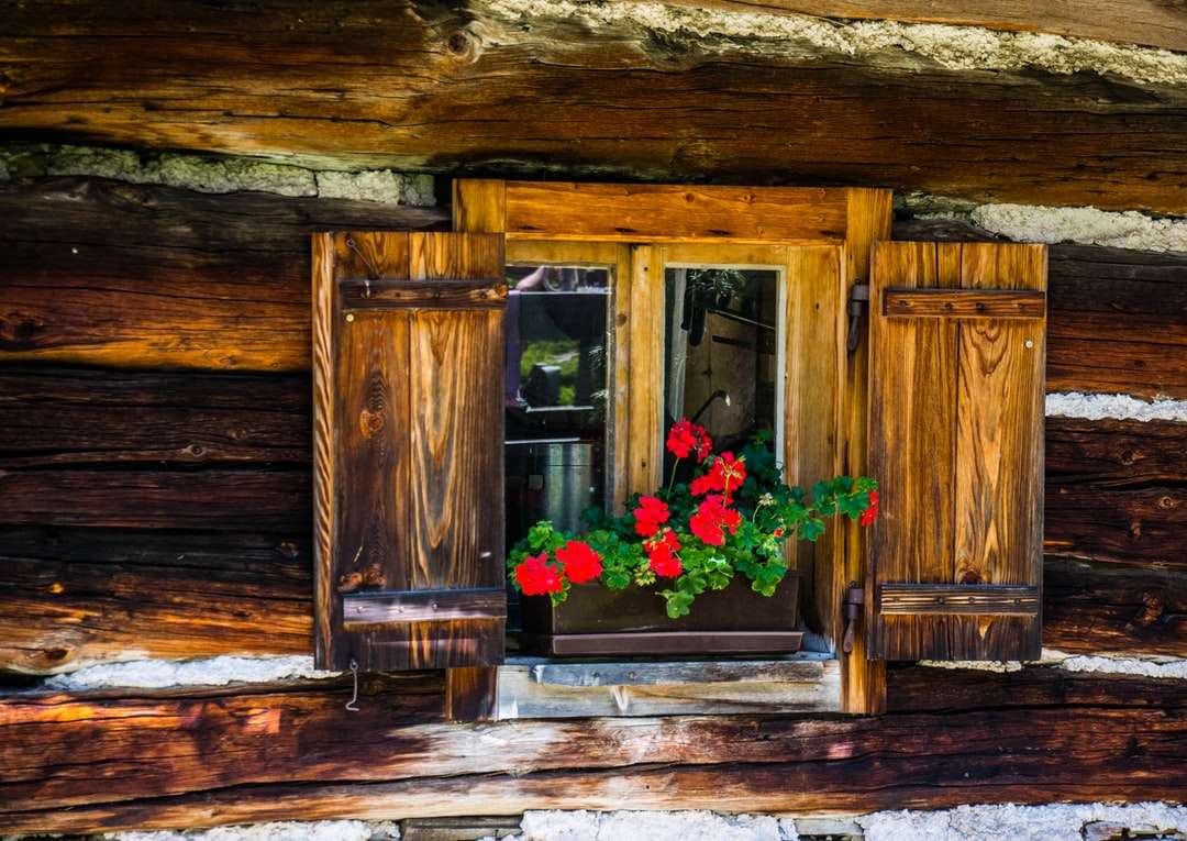 καφέ ξύλινη πόρτα με ροζ και κόκκινα λουλούδια παζλ online