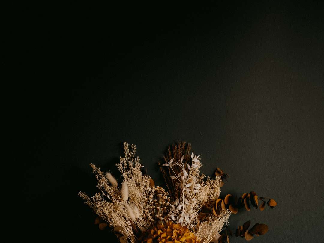 pianta bianca e marrone su sfondo nero puzzle online