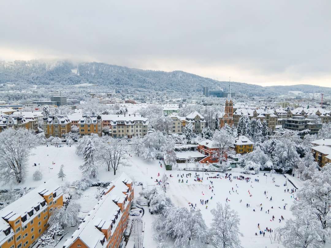 casas brancas e marrons cobertas de neve durante o dia quebra-cabeças online