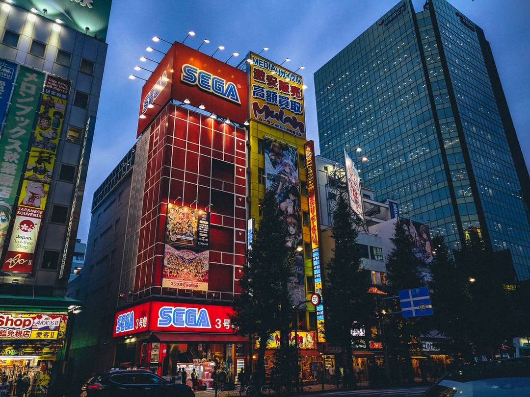 clădire luminată de roșu și albastru în timpul nopții puzzle online
