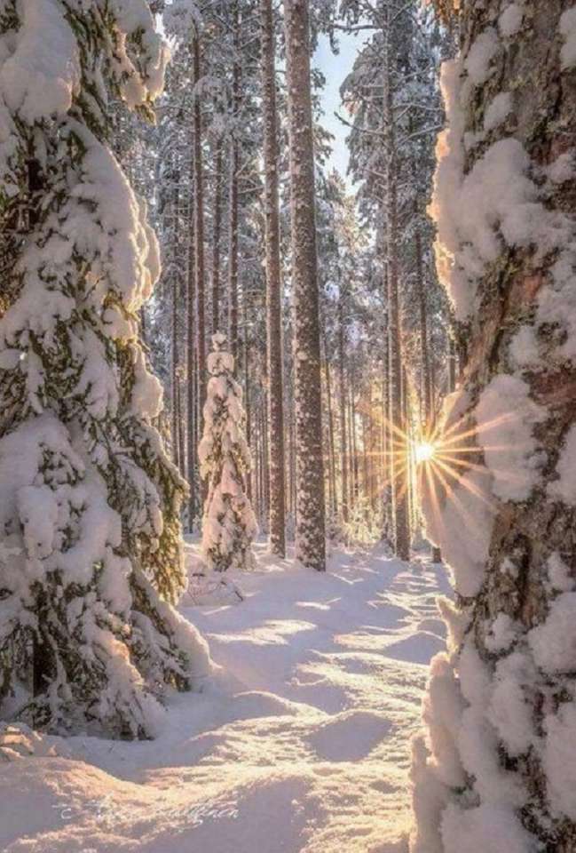 Χειμώνας στο δάσος. online παζλ