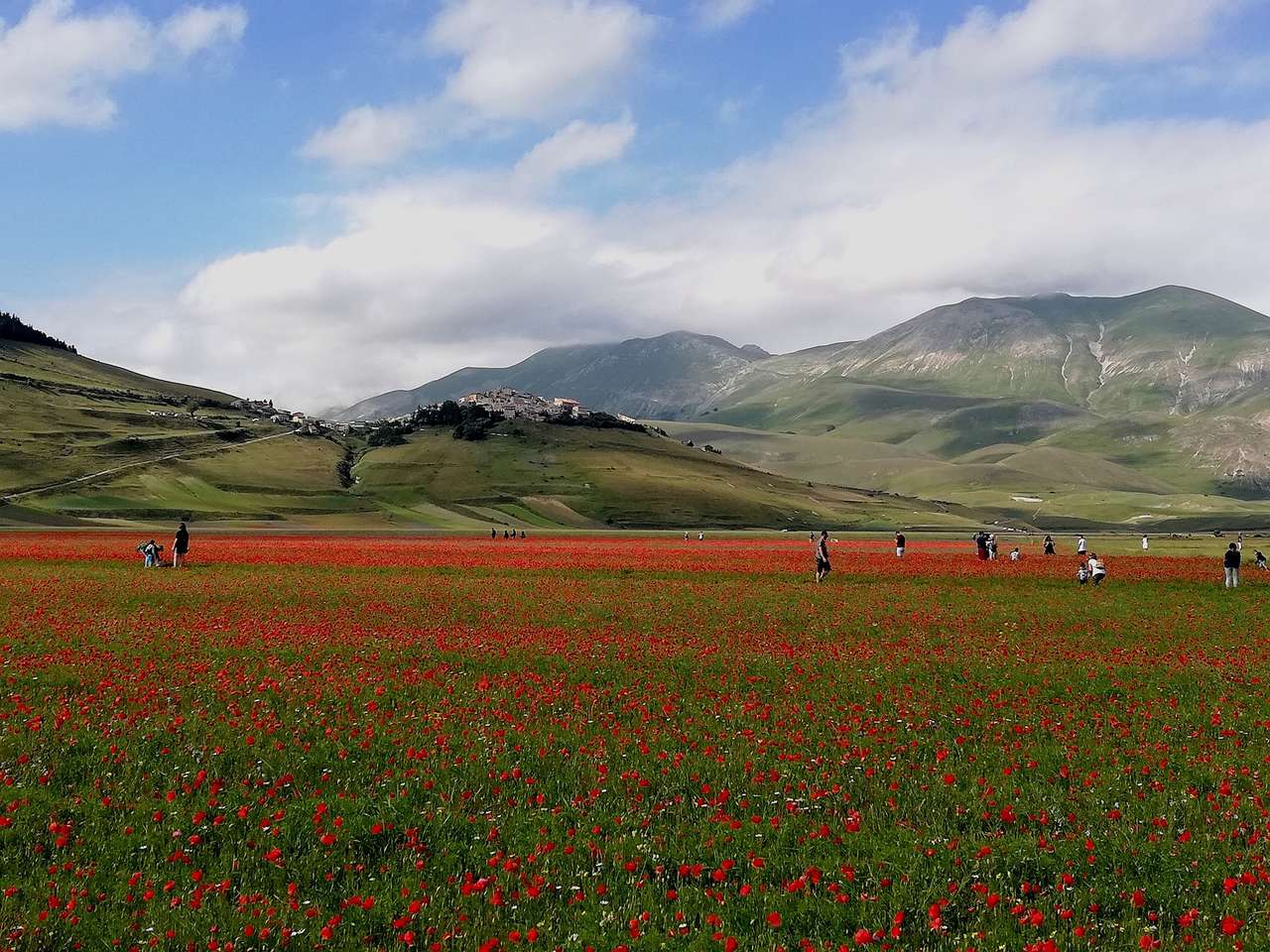 Castelluccio di Norcia linser i blom Italien Pussel online