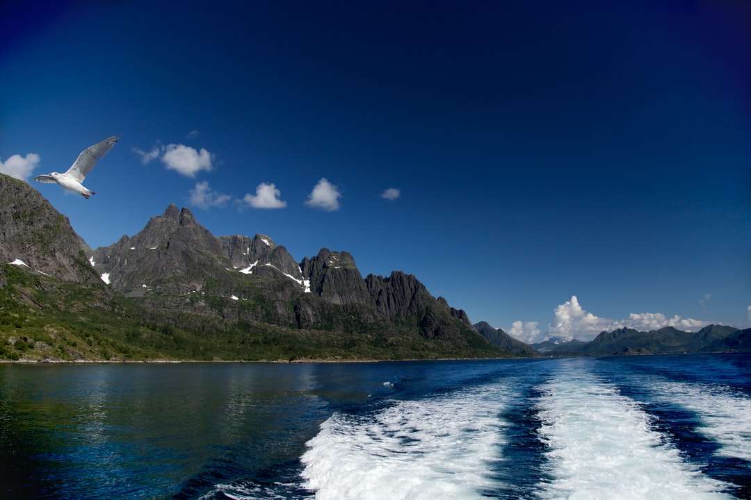 grönt berg bredvid vattnet under blå himmel Pussel online