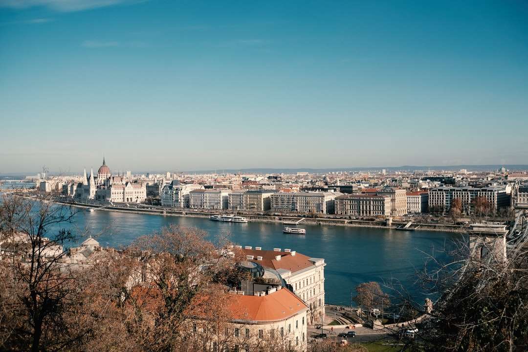 Luftaufnahme von Stadtgebäuden in der Nähe von Gewässern Online-Puzzle