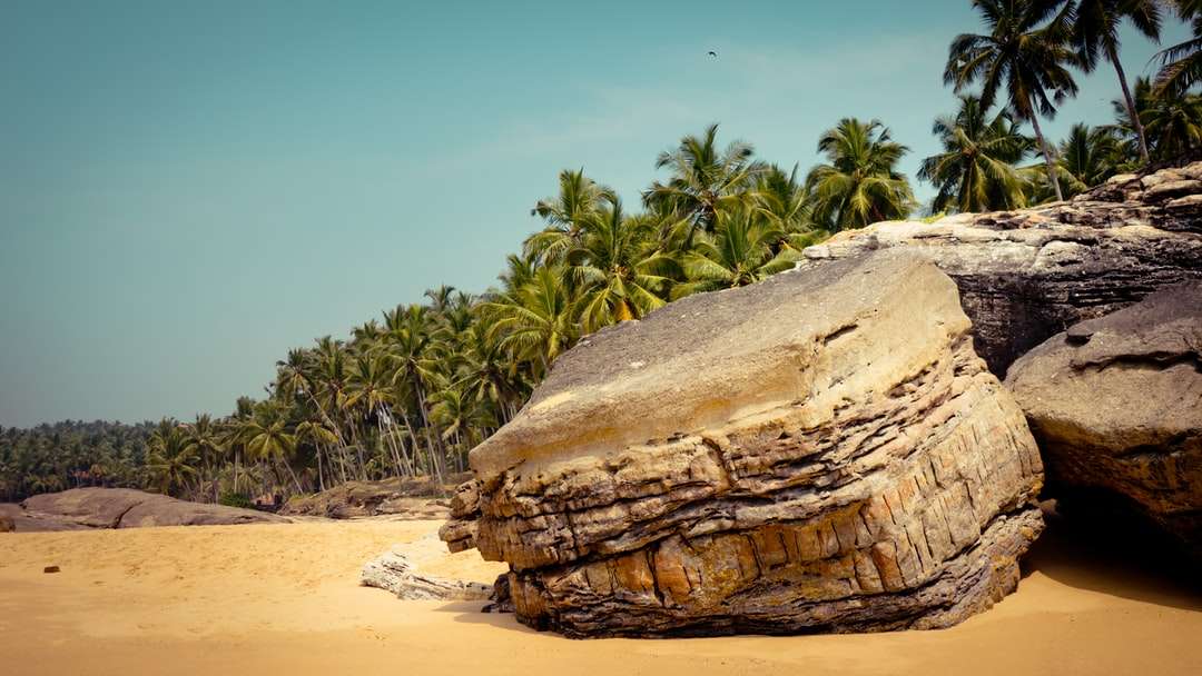 Formación de roca marrón cerca de la palmera verde durante el día rompecabezas en línea