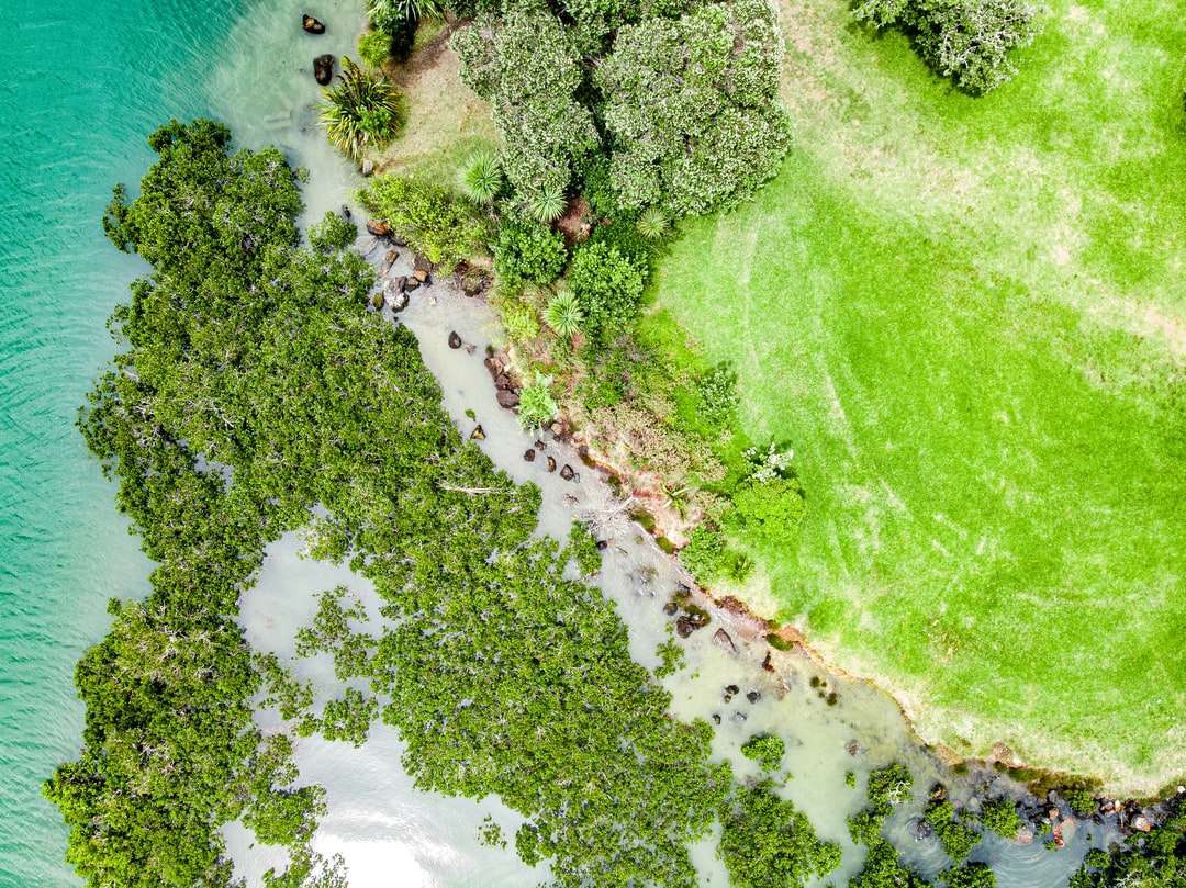 въздушен изглед на поле със зелена трева до водоема онлайн пъзел