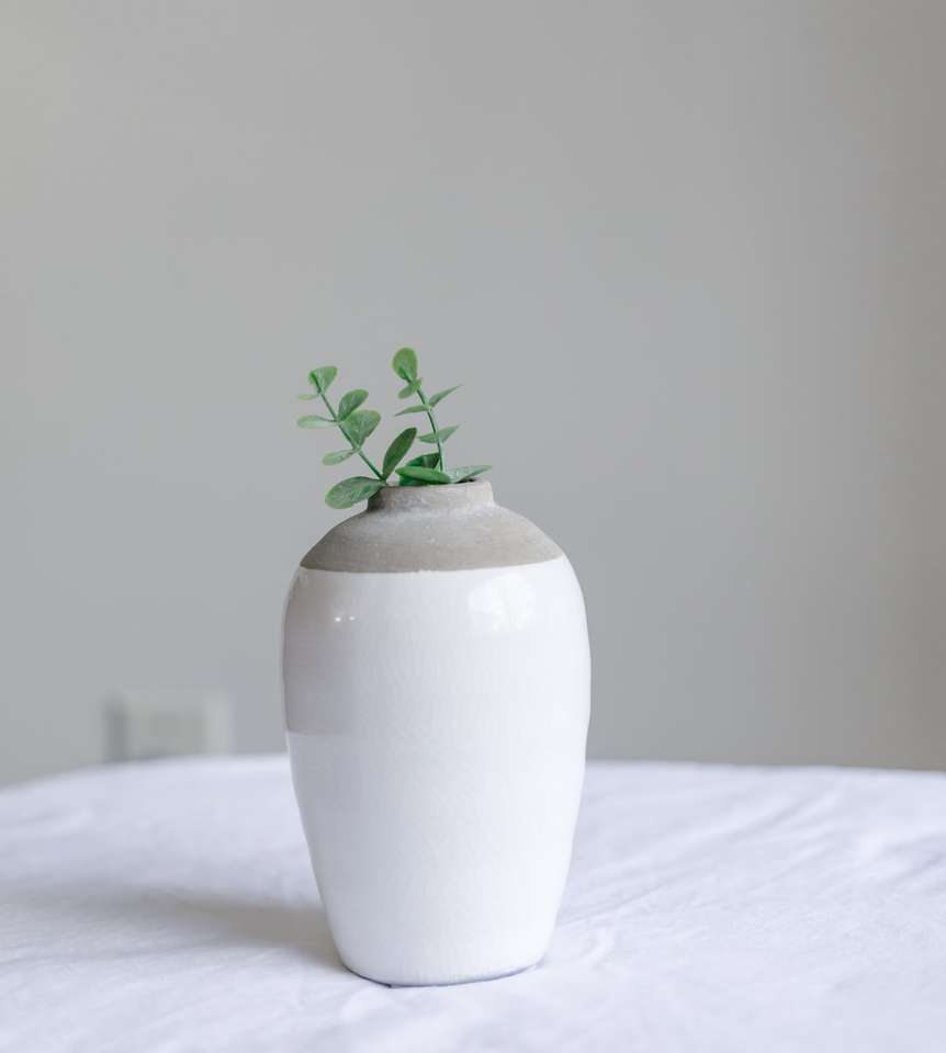 зеленое растение в белой керамической вазе пазл онлайн