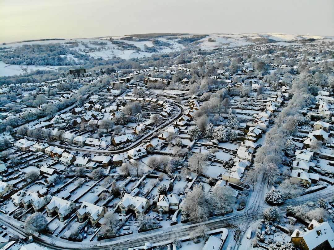 vista aérea de la ciudad durante el día. rompecabezas en línea
