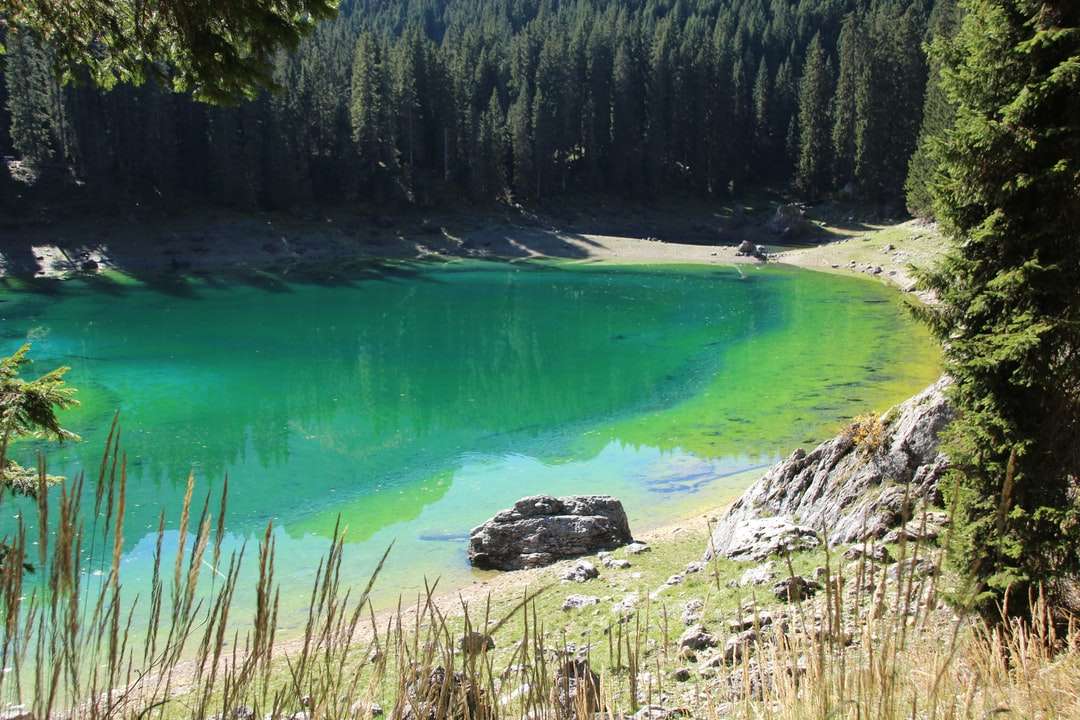 lago verde rodeado de árboles verdes durante el día rompecabezas en línea