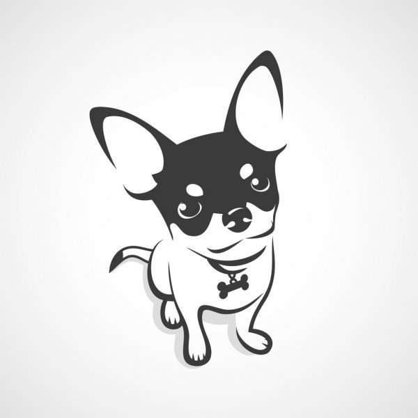 Chihuahua. puzzle online