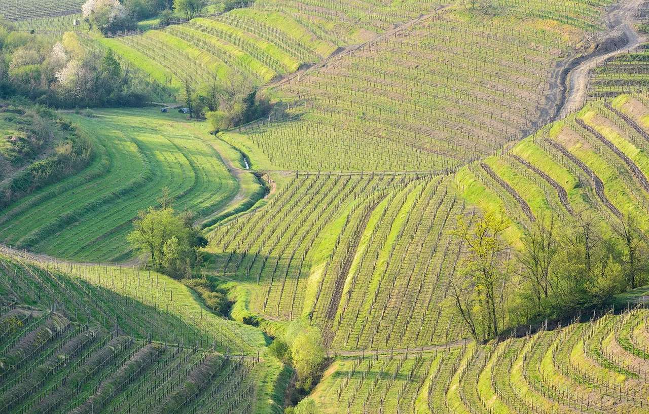 Viticultura Goriska Brda na Eslovênia quebra-cabeças online