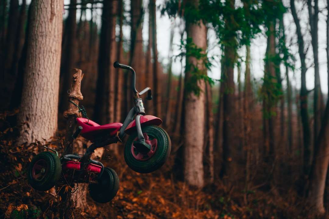 красный и черный велосипед в лесу онлайн-пазл