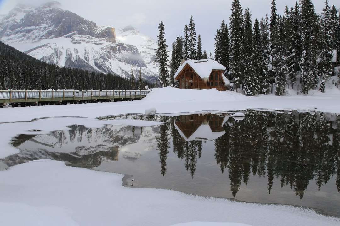 Casa de madera marrón sobre suelo cubierto de nieve rompecabezas en línea