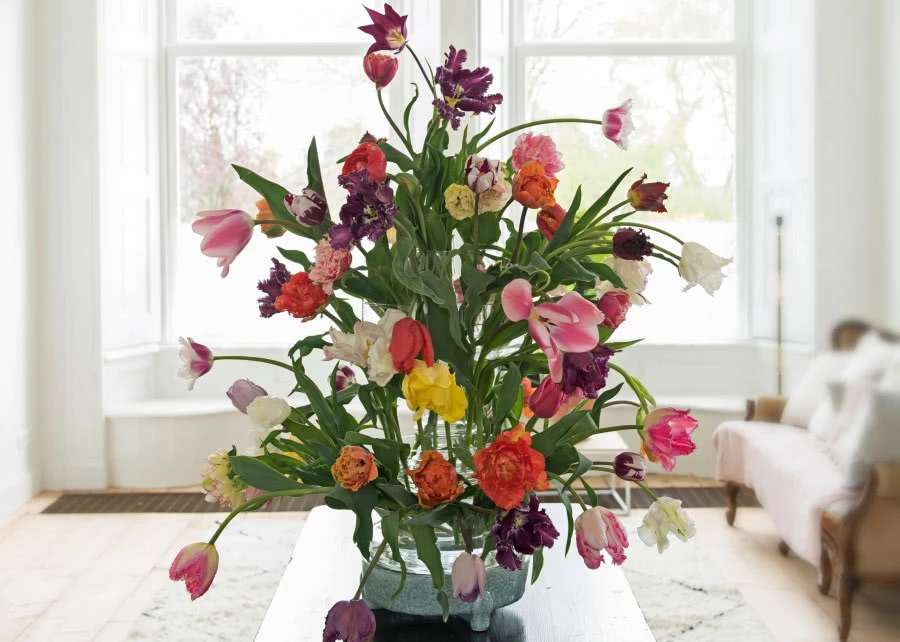 barevné tulipány skládačky online