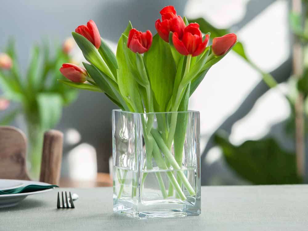 červené tulipány ve váze skládačky online