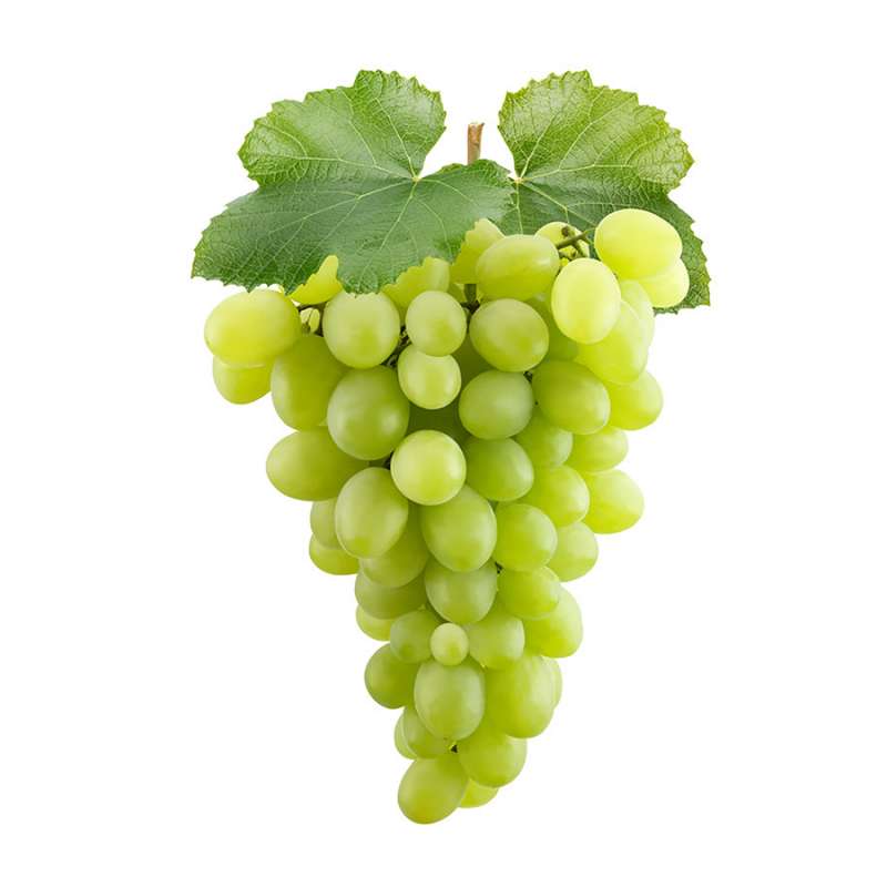 szőlő - összeszerelés kirakós online