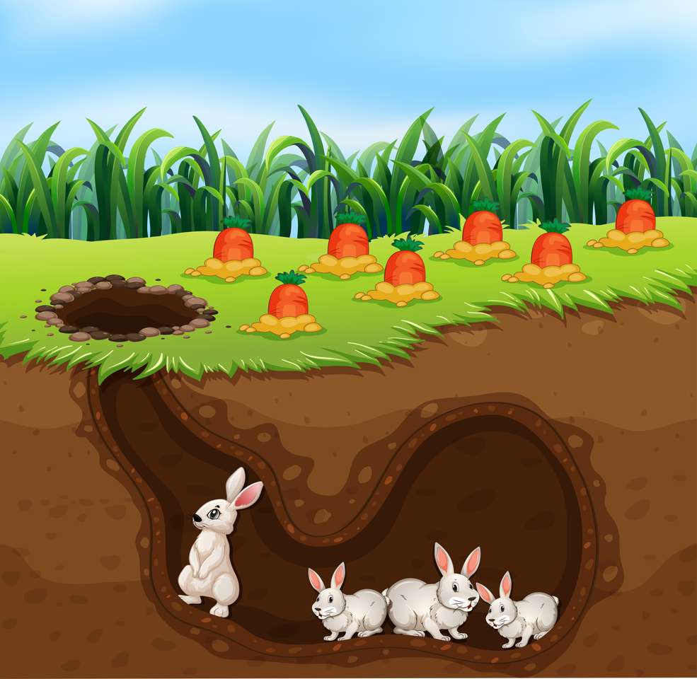 Kaniner i sjön Pussel online