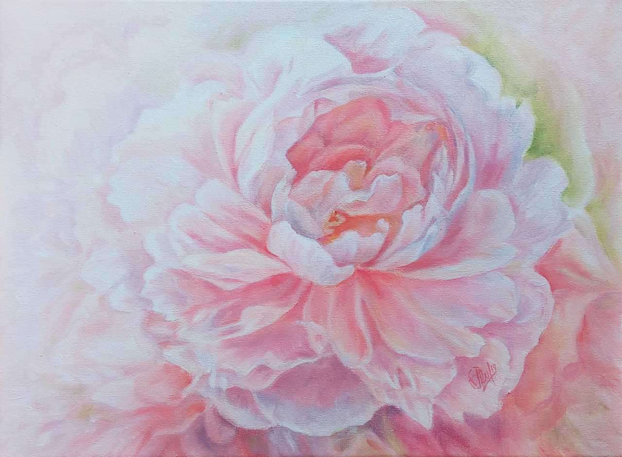 Pintura peônia branca rosa puzzle online