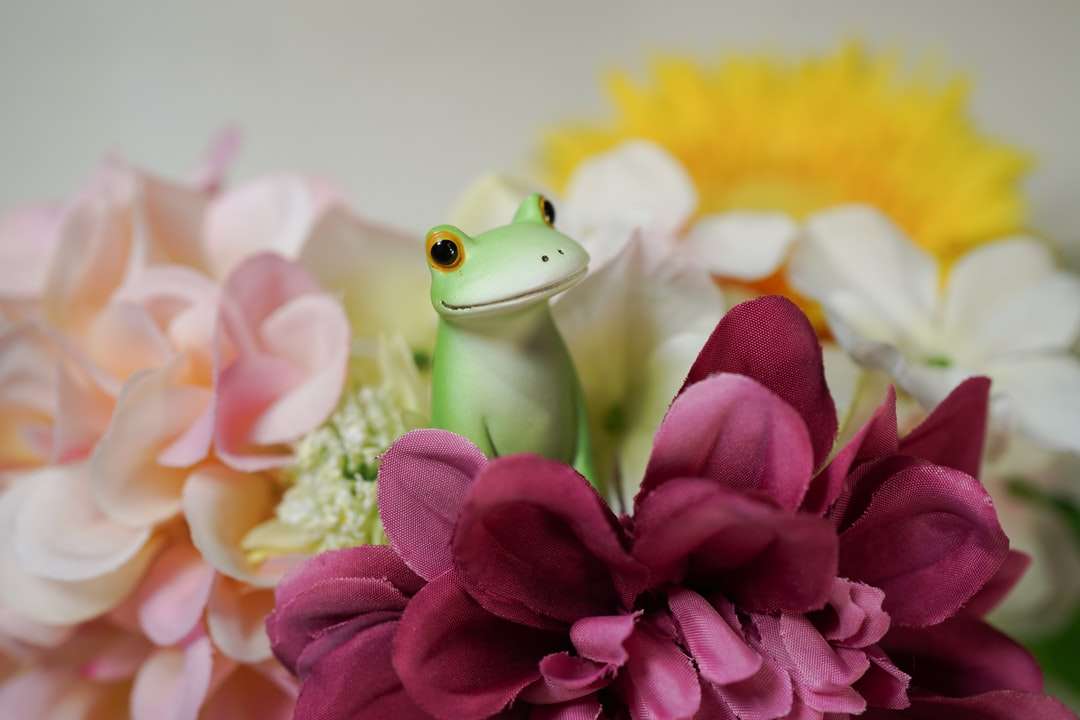 grüne Froschfigur auf rosa und gelben Blütenblättern Puzzlespiel online