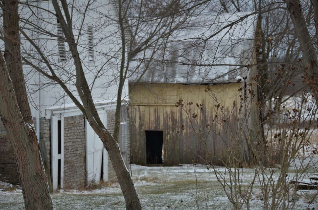 casa de madeira marrom perto de árvores nuas durante o dia quebra-cabeças online